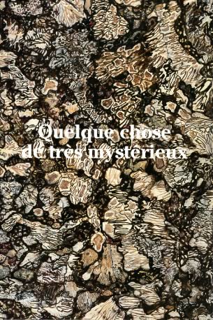 photo expo_coll_tapie1